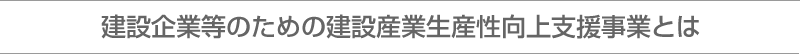 建設業等のための建設産業生産性向上支援事業事のご紹介 | 平成29年度 建設産業生産性向上支援事業の概要