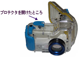 プロテクタを開けたところ