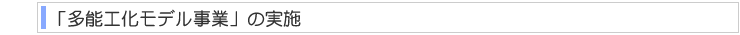 「多能工モデル事業」の実施